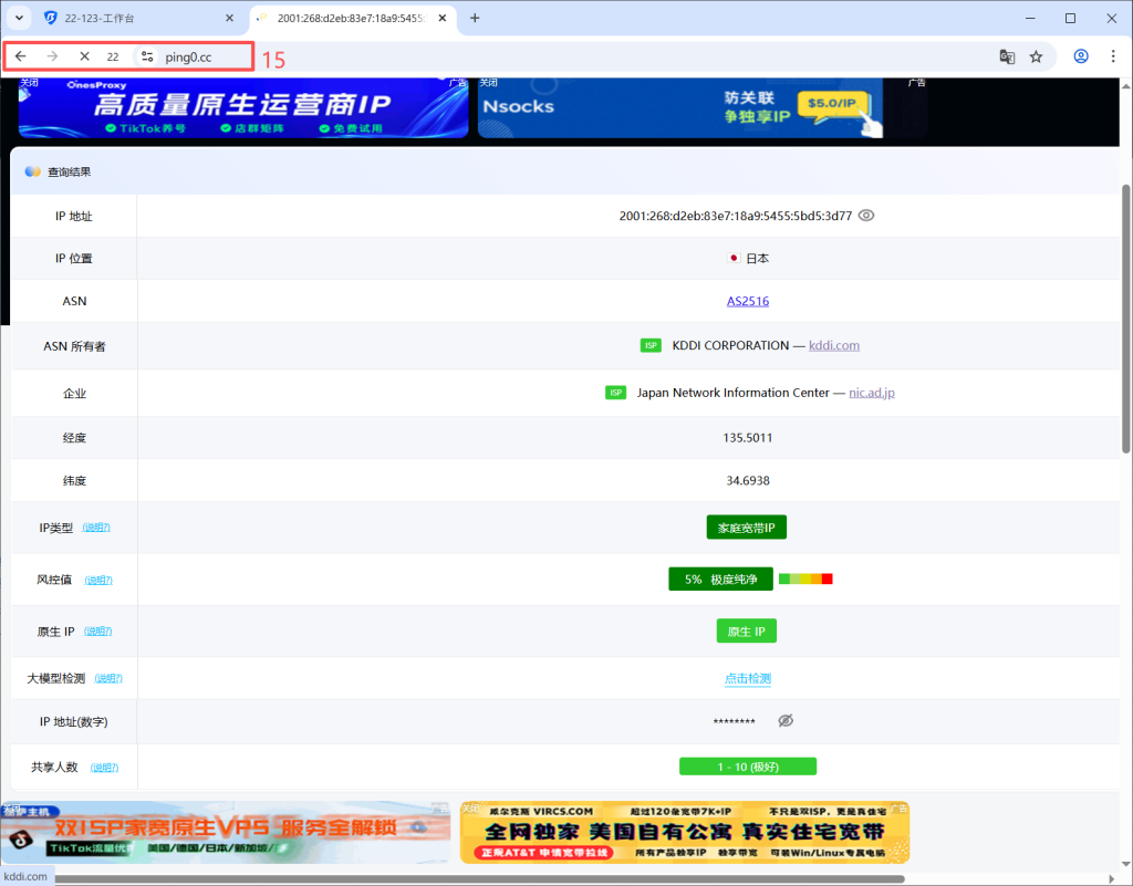 How to check IP address and proxy details on an IP detection website