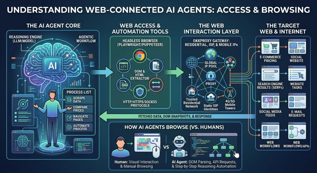 Okkproxy guide explaining what a web-connected AI agent is and how it browses the internet